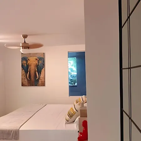 Apartamento Aparta Estudio En El Centro Historico